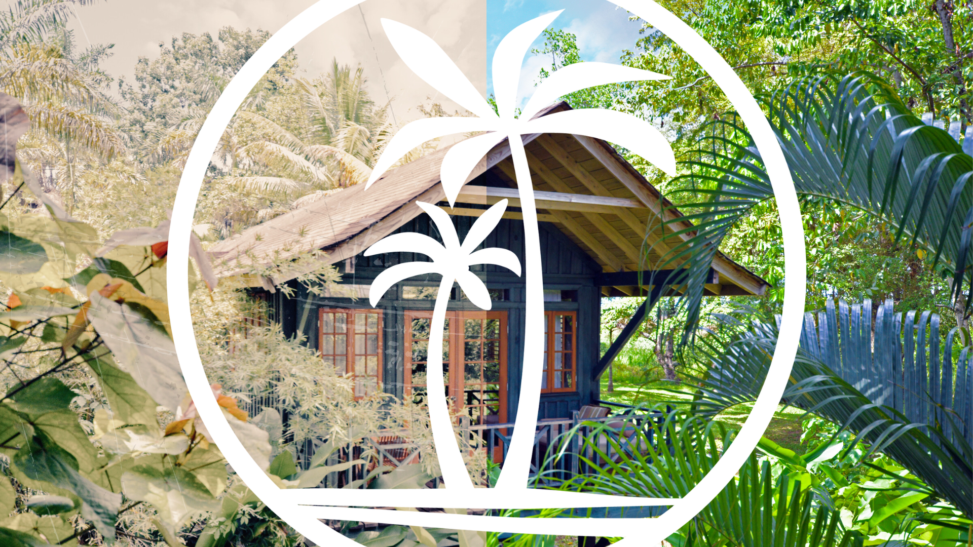 Celebrating 22 Years: A Look Back at Our History