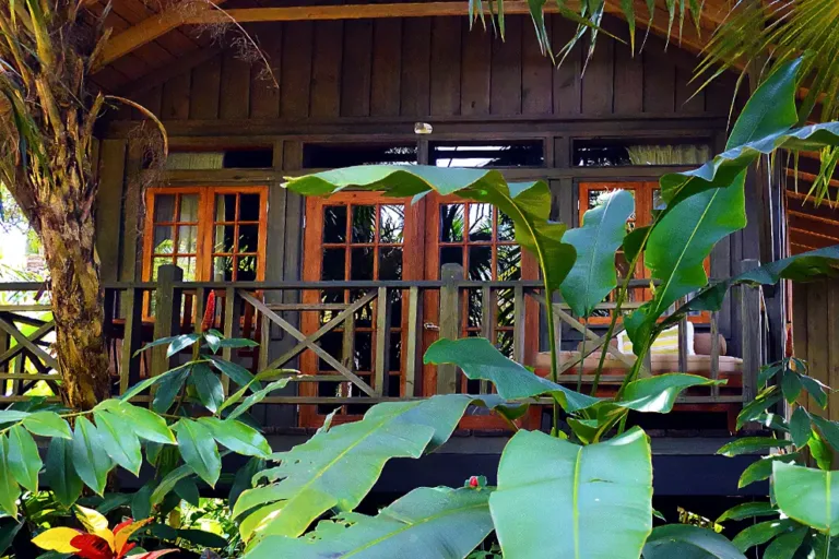 Treetop Room Balcony
