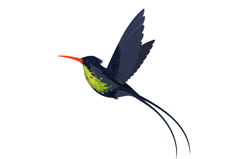 Doctorbird